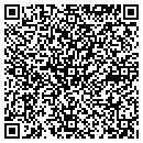QR code with Pure Air Systems LLC contacts