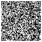 QR code with Blue Dolphin Pools Inc contacts