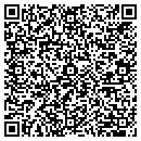 QR code with Premiere contacts