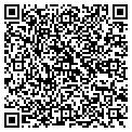 QR code with Zigler contacts