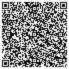 QR code with Cybertec Computer Service contacts