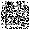 QR code with Public Storage contacts