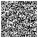 QR code with Precision Lesr Items contacts