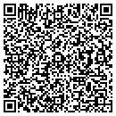 QR code with Practice Max contacts