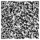QR code with Public Storage contacts