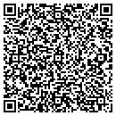 QR code with Premier Laundry contacts