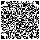 QR code with Pulse Technologies contacts