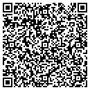 QR code with Project V W contacts