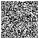QR code with Precision Detailing contacts