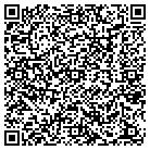QR code with Baltimore Lead Testing contacts