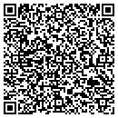 QR code with Bluerock Productions contacts