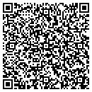 QR code with Custom Tints contacts