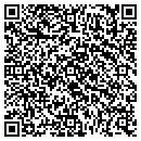 QR code with Public Storage contacts