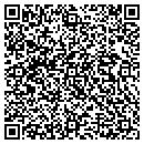 QR code with Colt Insulation Inc contacts
