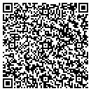 QR code with Princeton Review contacts