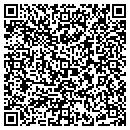 QR code with PT Sales Inc contacts