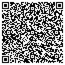 QR code with Premier Web Solutions contacts