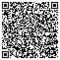 QR code with Q T contacts