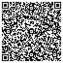 QR code with Puncheon Landing contacts