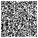 QR code with Carl Hoffman & Assoc contacts
