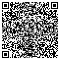 QR code with Torrid contacts