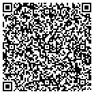 QR code with Brian Singer Ecolab contacts