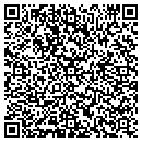 QR code with Project Echo contacts