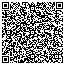QR code with Pyramid Glass Co contacts