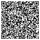QR code with Project Serve contacts