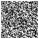 QR code with Public Storage contacts