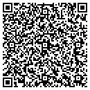 QR code with Practical Engineering contacts