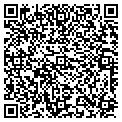 QR code with Modis contacts