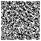 QR code with Cybernetics Infotech contacts