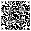 QR code with Cyrus L Nelson CPA contacts