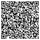 QR code with Pure Value Marketing contacts