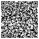 QR code with PUSH Techologies contacts
