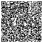 QR code with Pulaski Rolloff Service contacts