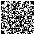 QR code with SIGCON contacts