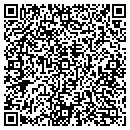 QR code with Pros From Dover contacts