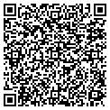 QR code with Bashas' contacts
