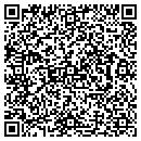 QR code with Cornelia C Viek CPA contacts