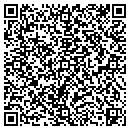 QR code with Crl Audio Systems Inc contacts