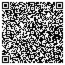 QR code with PRACTICE Partners contacts