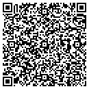 QR code with Public Works contacts