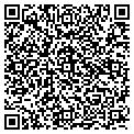 QR code with Angles contacts