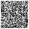 QR code with Stadium contacts