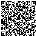 QR code with X Wave contacts