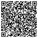QR code with Studio contacts