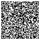 QR code with Carter & Sons Masonry contacts