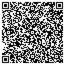 QR code with Professional Piping contacts